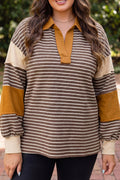 Brown Stripe Colorblock Plus Top
