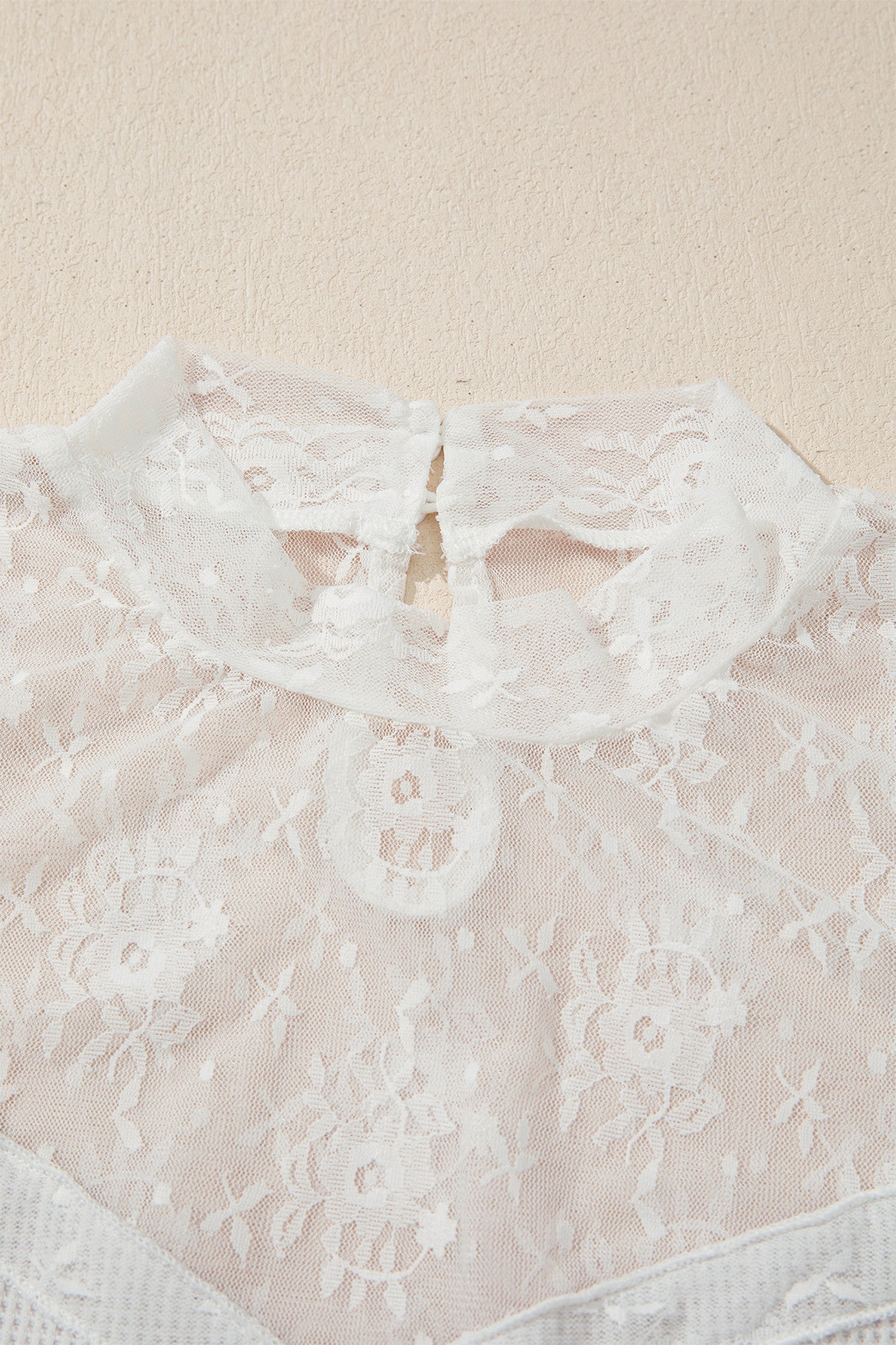 Lace Mesh Long Sleeve Top